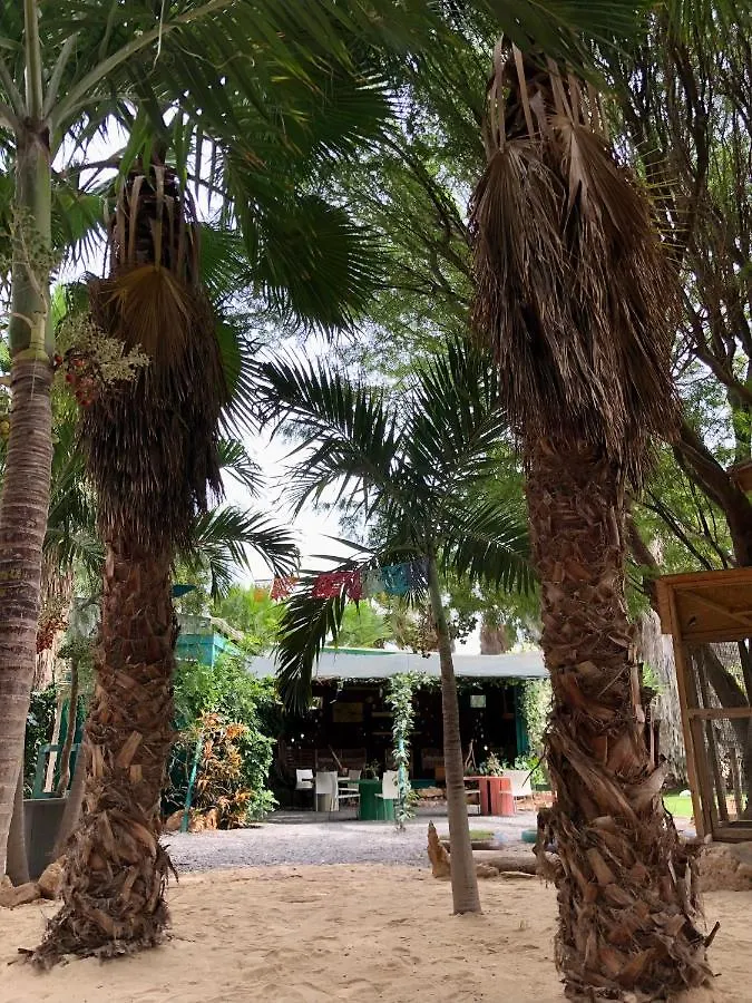 Tropical Morabeza Apartment Santa Maria